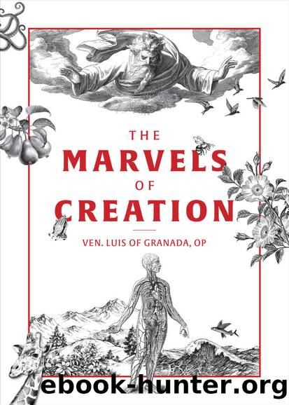 The Marvels of Creation by Louis of Granada