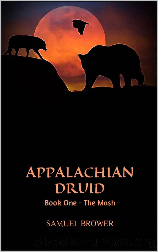 The Mash by Samuel Brower