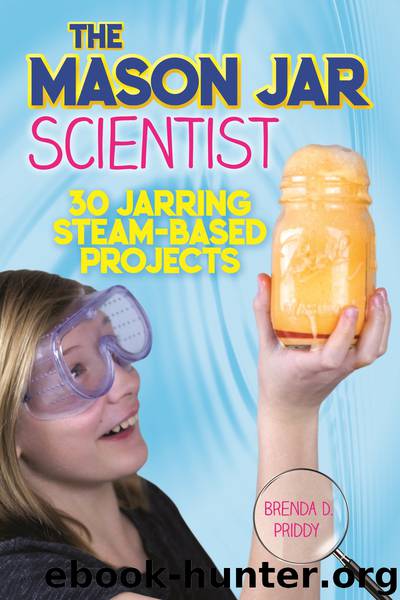 The Mason Jar Scientist by Brenda Priddy