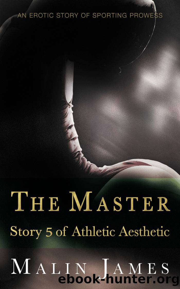 The Master by Malin James