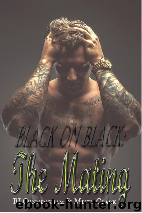 The Mating (Black on Black, #1) by BJ Cunningham & Misty Clark