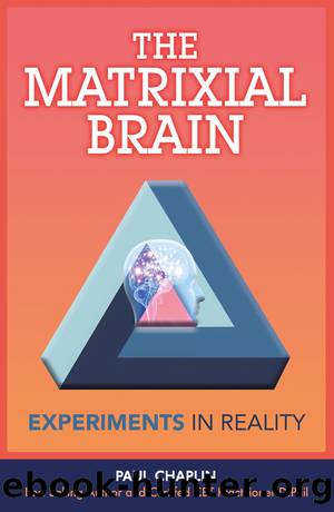 The Matrixial Brain by Paul Chaplin