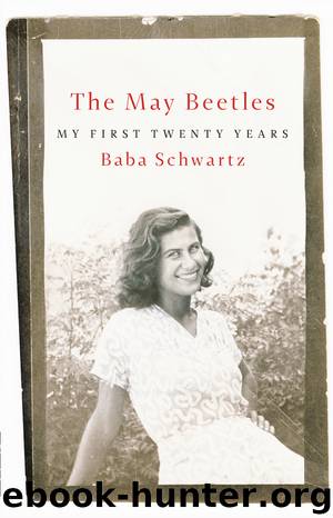 The May Beetles by Schwartz Baba;
