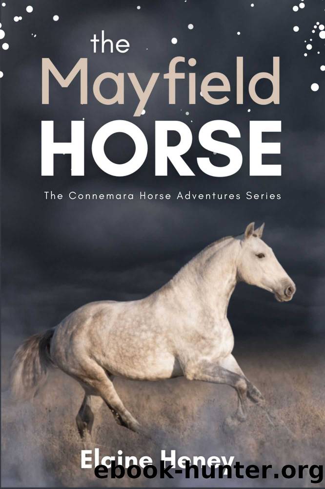 The Mayfield Horse - Book 3 in the Connemara Horse Adventure Series for Kids | The Perfect Gift for Children age 8-12 (Connemara Adventures) by Elaine Heney