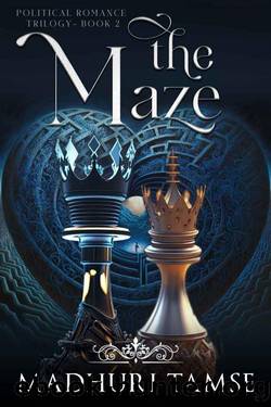 The Maze (Political Romance Trilogy Book 2) by Madhuri Tamse