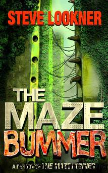 The Maze Bummer by Steve Lookner