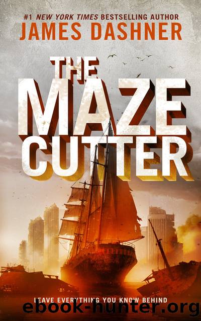 The Maze Cutter by James Dashner
