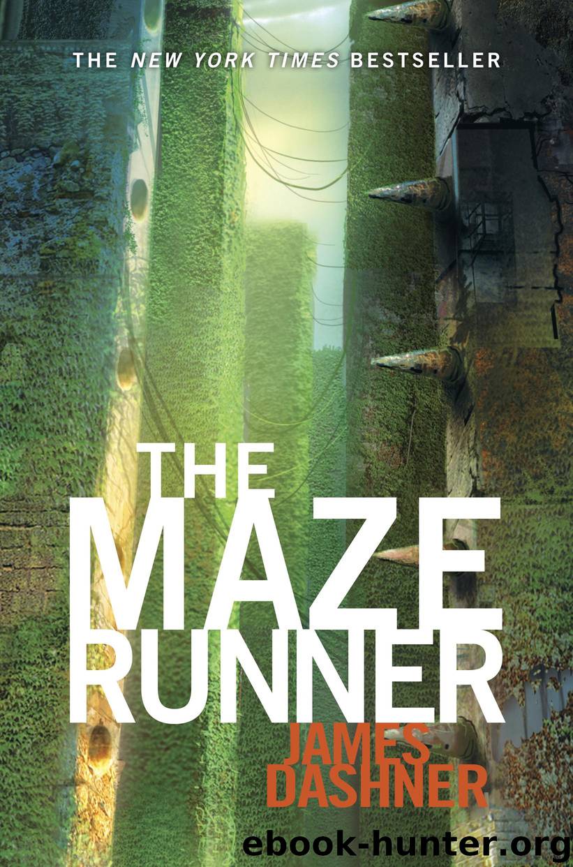 The Maze Runner (Maze Runner #1) by James Dashner
