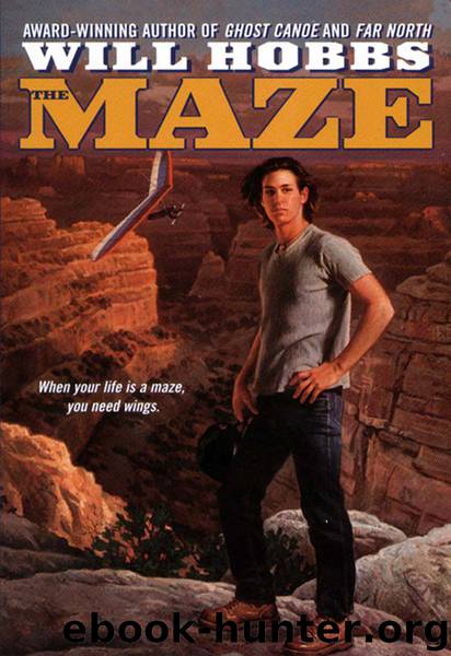 The Maze by Will Hobbs