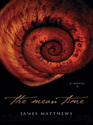 The Mean Time by James Matthews