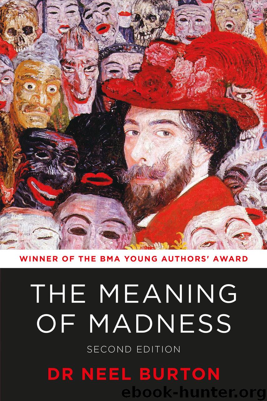 The Meaning Of Madness 2nd Edition by Neel Burton