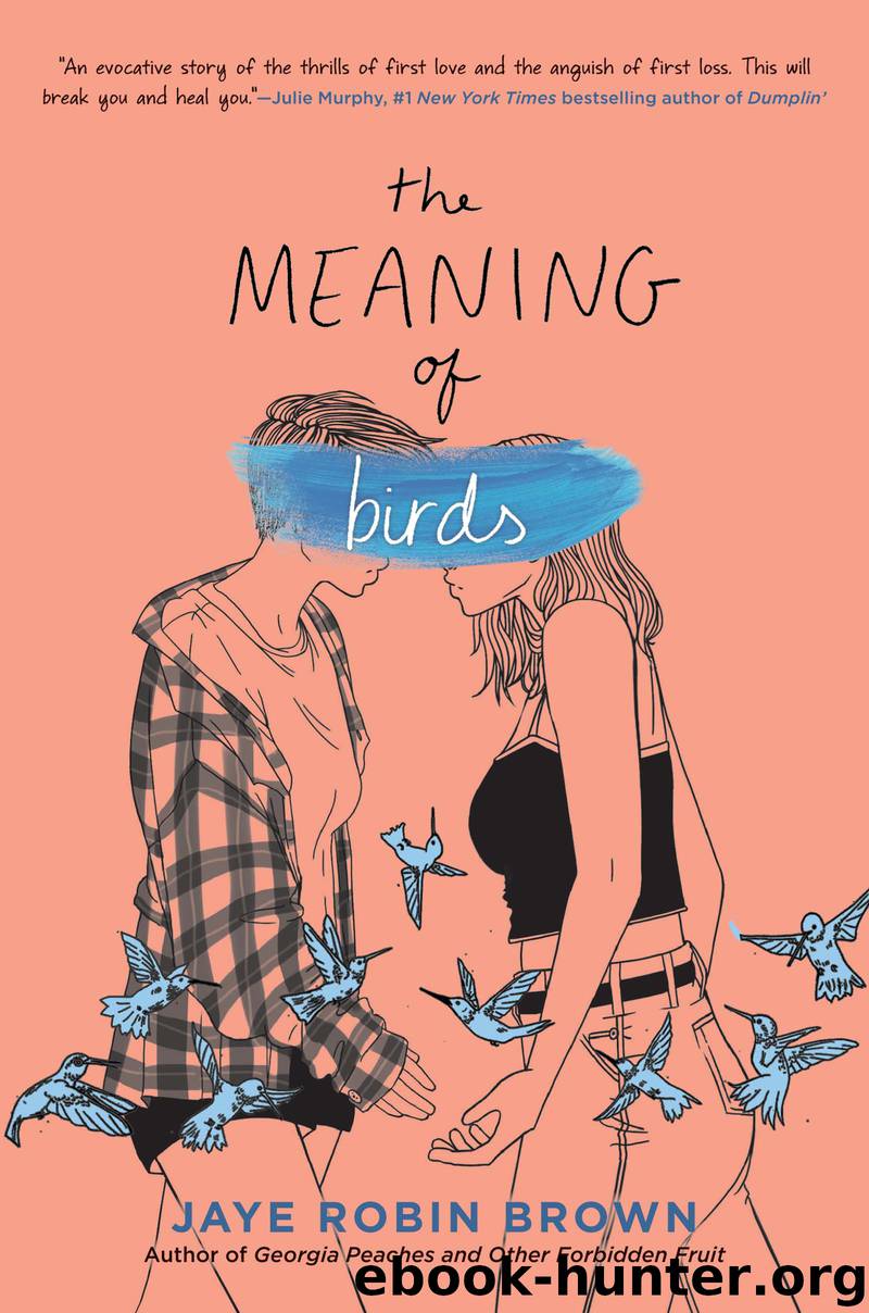 The Meaning of Birds by Jaye Robin Brown