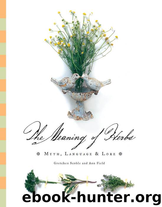 The Meaning of Herbs by Ann Field