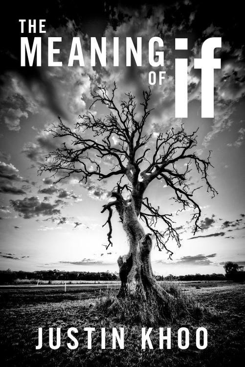 The Meaning of If by Justin Khoo