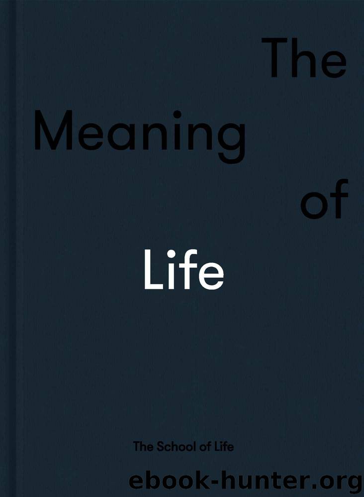 The Meaning of Life by The School of Life