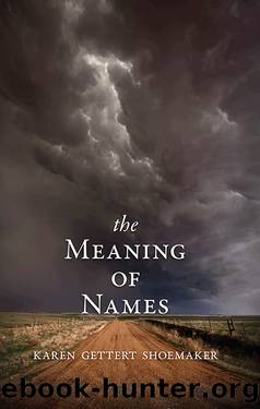The Meaning of Names by Karen Gettert Shoemaker