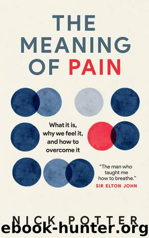 The Meaning of Pain: What It Is, Why We Feel It, and How to Overcome It by Nick Potter