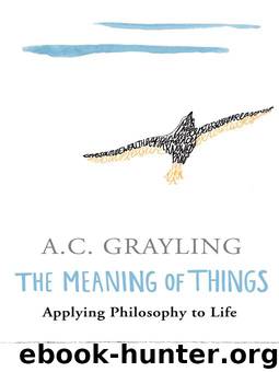 The Meaning of Things by A.C. Grayling