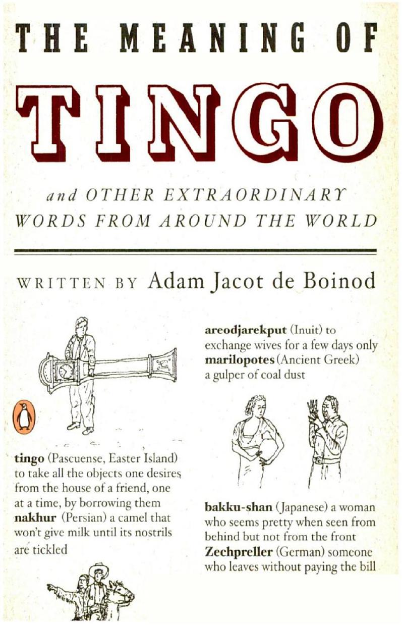 The Meaning of Tingo: And Other Extraordinary Words from Around the World by Adam Jacot de Boinod