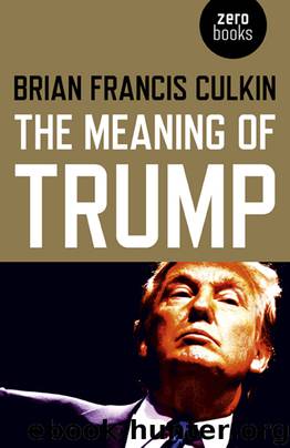 The Meaning of Trump by Brian Francis Culkin