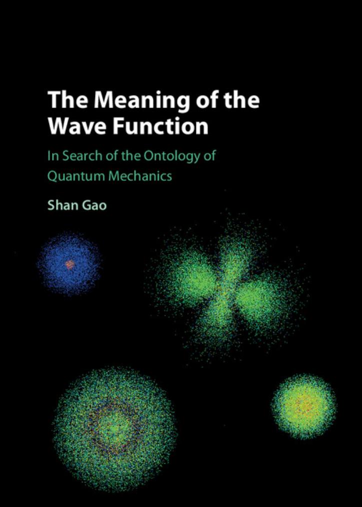 The Meaning of the Wave Function: In Search of the Ontology of Quantum Mechanics by Shan Gao