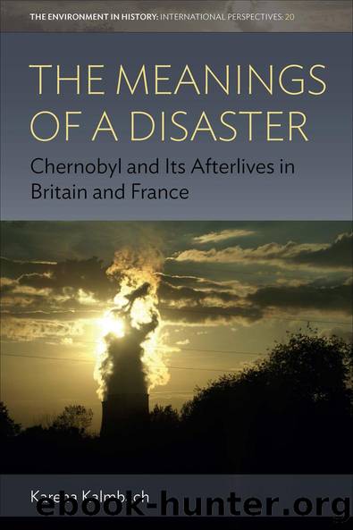 The Meanings of a Disaster by Karena Kalmbach
