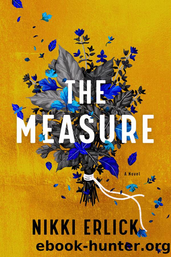 The Measure by Nikki Erlick