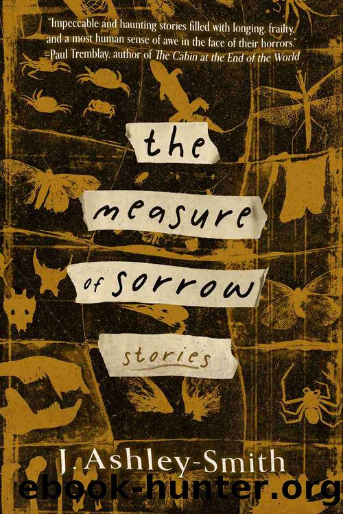 The Measure of Sorrow by J. Ashley-Smith