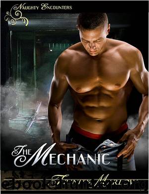 The Mechanic by Trinity Marlow