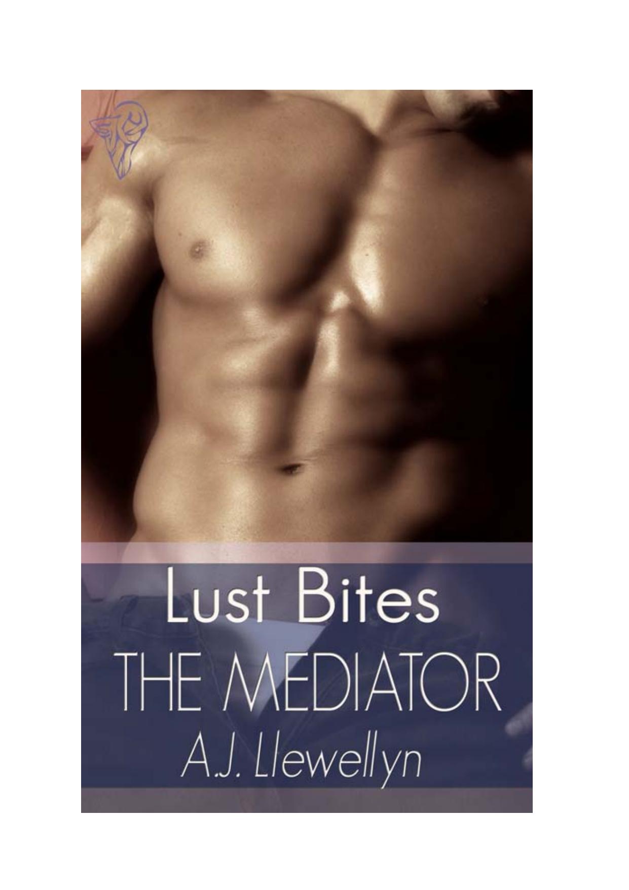 The Mediator by A.J. Llewellyn