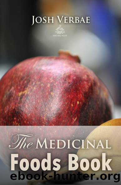 The Medicinal Foods Book by Josh Verbae