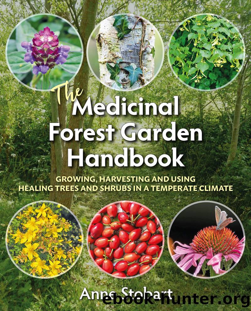 The Medicinal Forest Garden Handbook by Anne Stobart