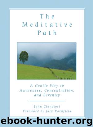 The Meditative Path by John Cianciosi