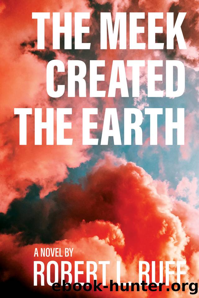 The Meek Created the Earth: A Novel by Robert L. Ruff