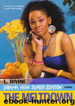 The Meltdown by L. Divine