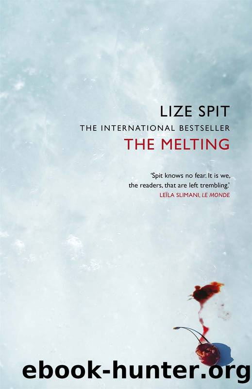 The Melting by lize Spit