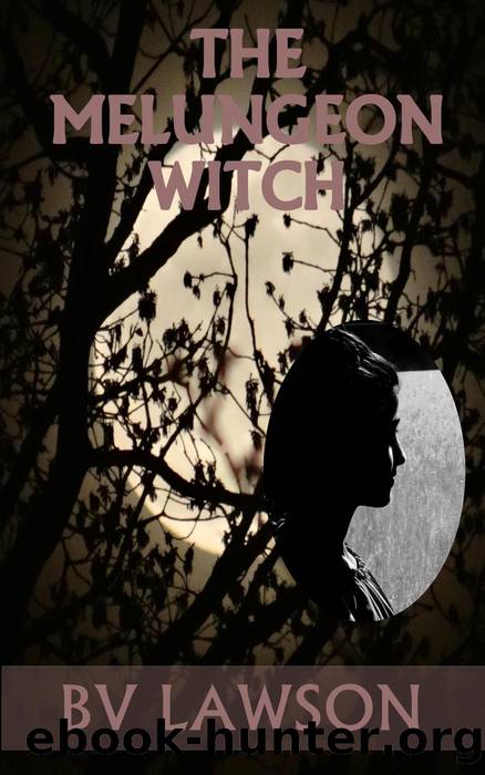 The Melungeon Witch Complete Five-Story Set by BV Lawson