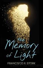 The Memory of Light by Stork Francisco X