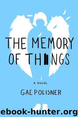 The Memory of Things by Gae Polisner