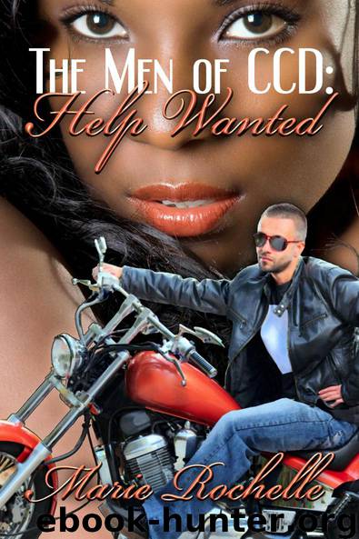 The Men of CCD: Help Wanted by Marie Rochelle