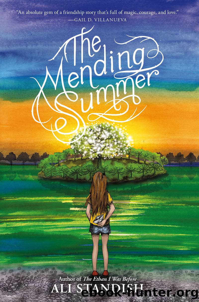 The Mending Summer by Ali Standish