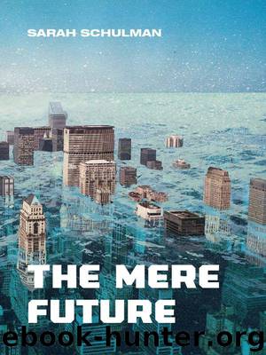 The Mere Future by Schulman Sarah