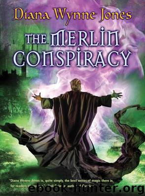 The Merlin Conspiracy by Diana Wynne Jones