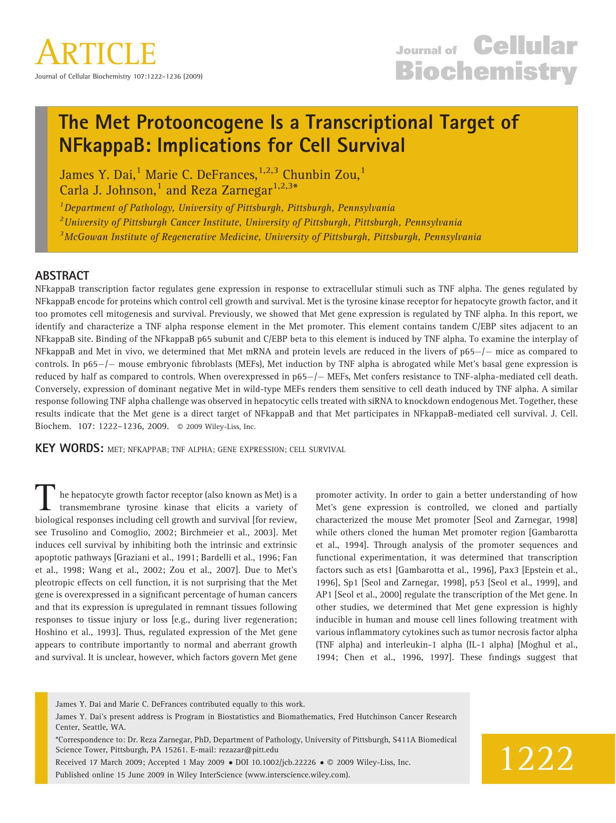 The Met protooncogene is a transcriptional target of NFkappaB: Implications for cell survival by Unknown