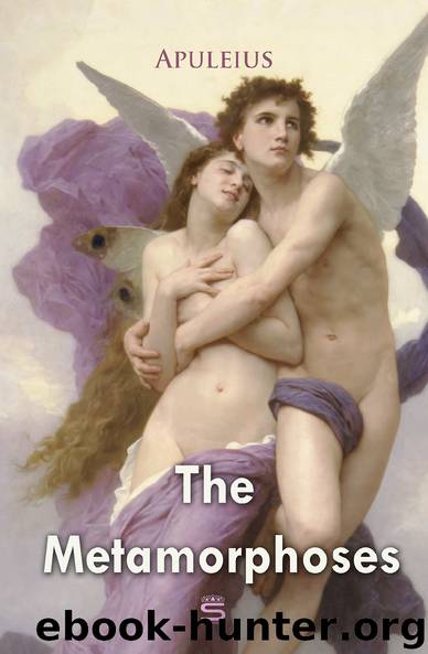 The Metamorphoses (Epic Story) by Apuleius