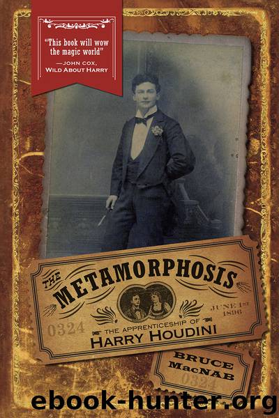 The Metamorphosis by Bruce MacNab