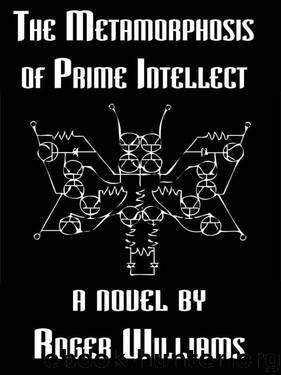 The Metamorphosis of Prime Intellect by Roger Williams