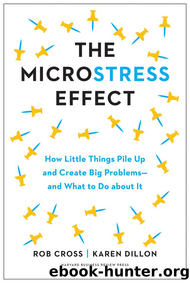 The Microstress Effect by Rob Cross