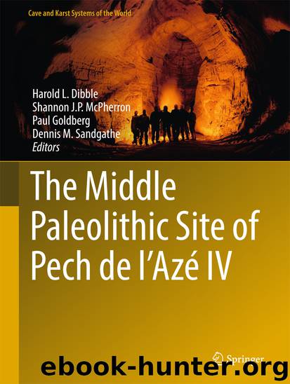 The Middle Paleolithic Site of Pech de l'Azé IV by Harold L. Dibble Shannon J. P. McPherron Paul Goldberg & Dennis M. Sandgathe