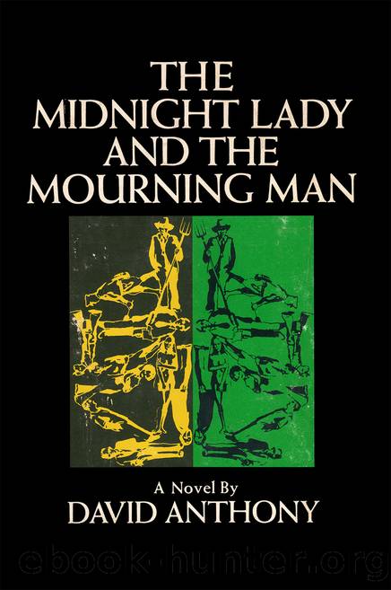 The Midnight Lady and the Mourning Man by David Anthony